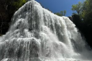 Things to Do in Cookeville, TN (From a Local) - Cookeville Guru